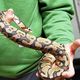 L'animal saisi par la police est un python royal.