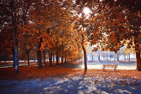 Une douceur remarquable pour un début novembre