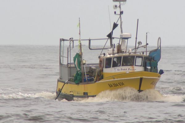 Les pêcheurs landais ont repris le large mais les aléas météo ont contraint leur activité.