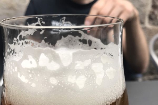 Le secret de la saveur de la bière viendrait de l'hybridation de ses levures. 