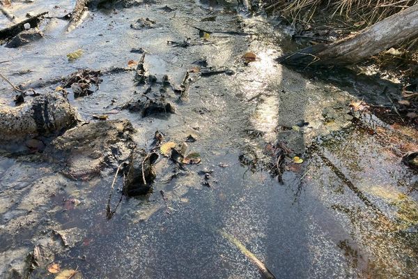 La source du puy de la Poix de Clermont-Ferrand produit un litre de bitume par jour.