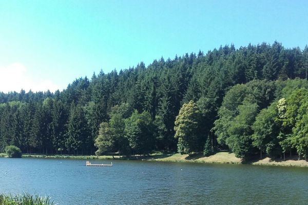 Après une fermeture d'environ deux semaines à cause d'un taux de cyanobactéries trop élevé, la baignade et les activités nautiques sont à nouveau autorisées sur le lac du Vernet-la-Varenne, dans le Puy-de-Dôme.