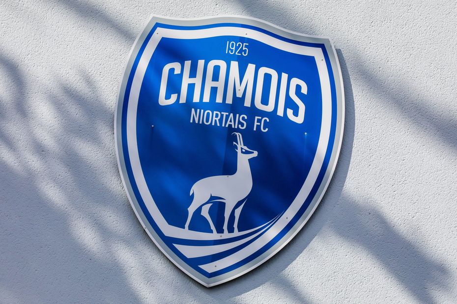 the Chamois Niortais and their leaders mocked on social networks