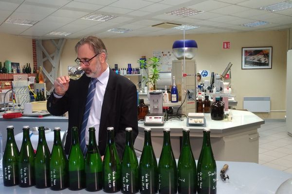 Thierry Gasco, le chef de caves de la maison Pommery, procède à l'assemblage des vins clairs.  