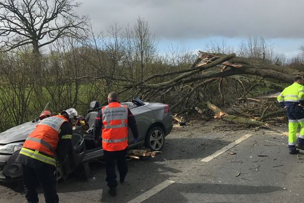 L'arbre s'est écroulé sur la RD29 au moment où une voiture passait