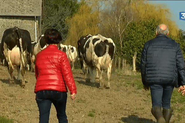 Ginette et Marc Bedouet dans leur ferme de Jublains (53)