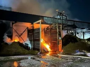 Le feu a pris dans un stock de copeaux de bois