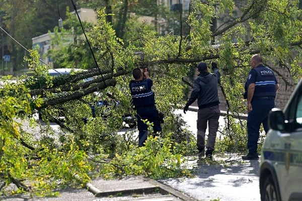 Après le passage de la tempête Kirk, il faut déblayer les arbres tombés sur les chaussée à cause du vent.