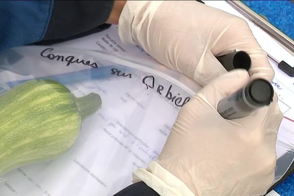 Recherche de polluants sur les légumes de Conques-sur-Orbiel après les inondations d'octobre 2018