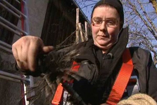 Dans les Bauges, Juliane Goyard est ramoneuse, un métier jadis réservé aux hommes. 