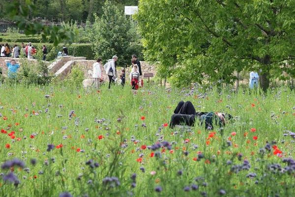 Visiteurs dans les jardins sonores de La Borie