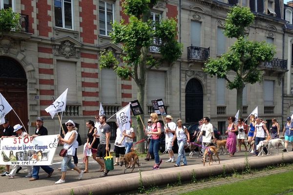 Manifestation "contre le massacre des lévriers" samedi à Strasbourg