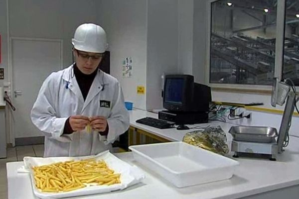 Laboratoire frites surgelées - Mc Cain - Matougues