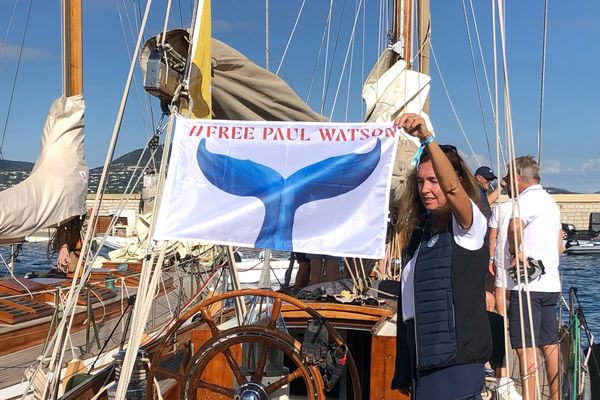 Des participants aux Voiles de Saint-Tropez affichent leur soutien envers le militant Paul Watson.