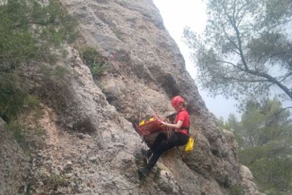 Le chien à la patte cassée a été évacué par les pompiers du GRIMP. 