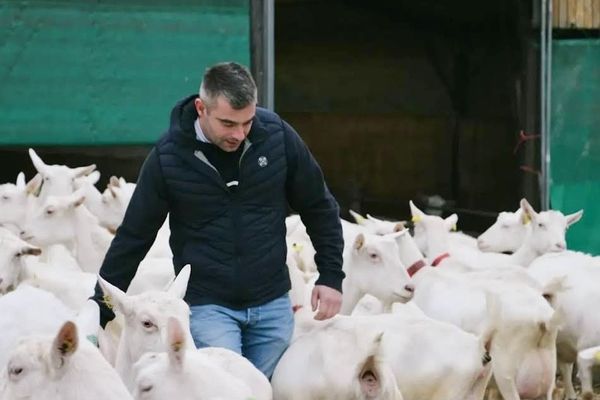 Kévin Coutant auprès de ses chèvres