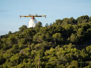 Trois avions bombardiers d'eau sont intervenut sur le feu de forêt qui s'est déclenché sur la commune de Chepniers en Charente-Maritime. (Photo d'illustration)