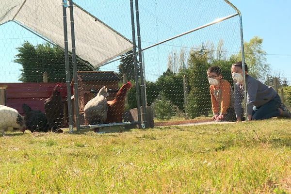 Deux garçons devant leur enclos à poules pondeuses