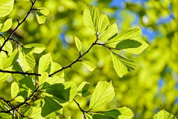 Un beau mardi lumineux sur la région, après des passages nuageux en début de matinée