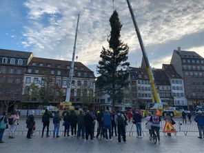 Le grand sapin est arrivé à l'aube pour être érigé place Kléber, à Strasbourg (Bas-Rhin).