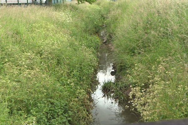 La petite Gironde où une pollution aux hydrocarbures a été constatée en octobre 2020. (Indre-et-Loire)