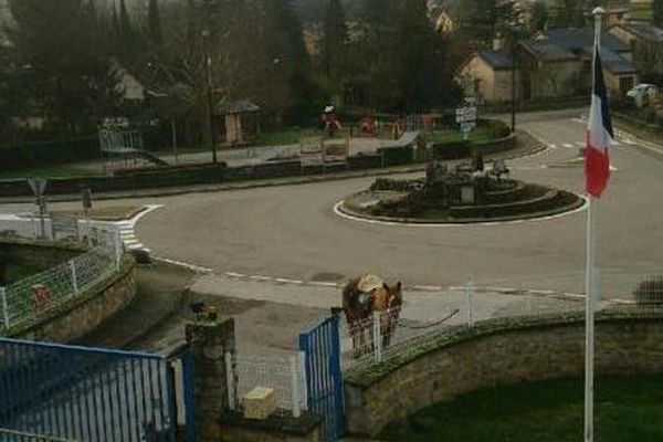 Un cheval stationné devant la gendarmerie de Lozère 