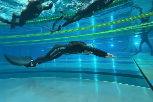 L'UCPA Sport Station de Reims (Marne) accueillait ce dimanche 24 novembre une manche de coupe de France d'apnée.