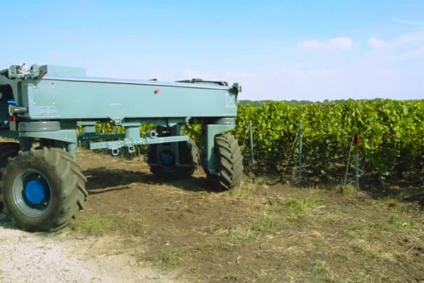 Totalement autonome et électrique, Bakus doit permettre de traiter les vignes sans pilote