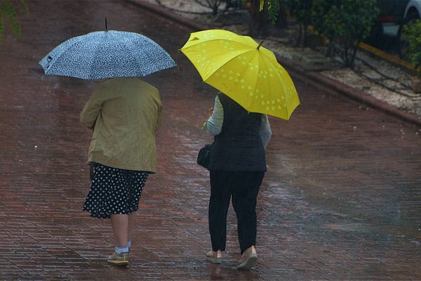 Pluie et vent ce mardi : un cocktail détonnant qui a eu des conséquences  sur le trafic 