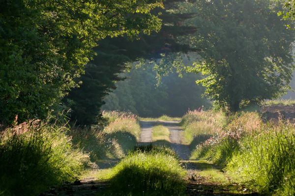 CAMPAGNES, QUAND L'HOMME RENOUE AVEC LA NATURE