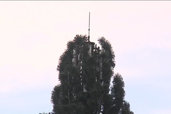 Une antenne relais camouflée en arbre