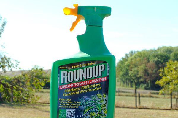 Flacon de désherbant Roundup de la marque Monsanto