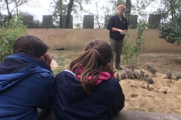 Les enfants attentifs aux explications du soigneur de suricates.