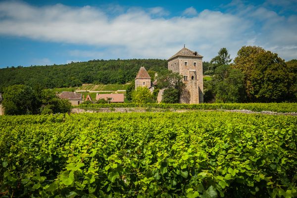 Les Climats du vignoble de Bourgogne sont un modèle dans le monde entier notamment grâce au travail des acteurs locaux.