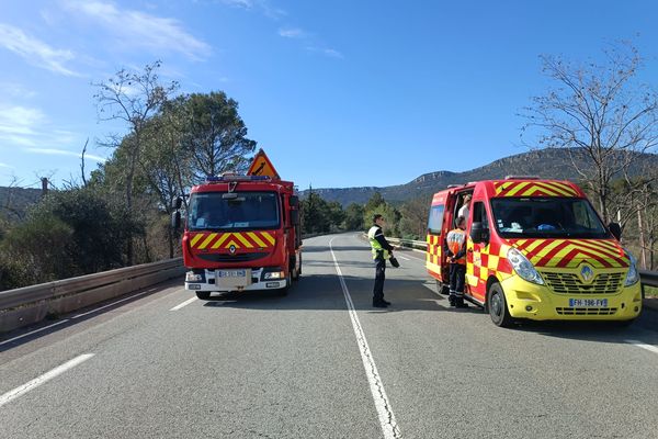 Les sapeurs-pompiers présents sur les lieux de l'accident.