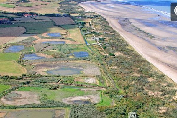 Dunes de la Baie de Wissant 