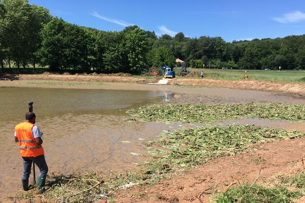 Les travaux d'aménagement ont commencé sur les bords de l'étang du Ruderop, à Bethoncourt (Doubs)