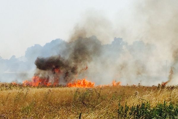 Jeudi les pompiers ont du faire face à un important incendie de culture à Villliers-Charlemagne