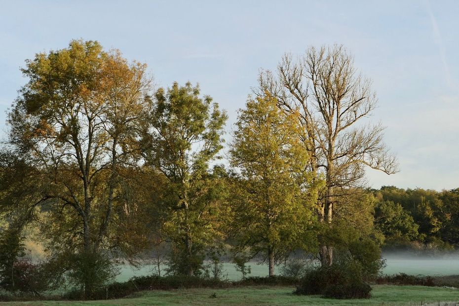 last morning frost before the temperature rises