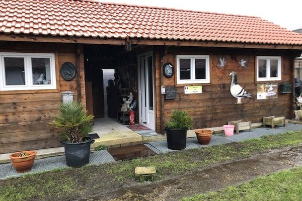 Petit par la taille, grand par la richesse de ses collections : un micro musée consacré à la colombophilie à Berck-sur-Mer