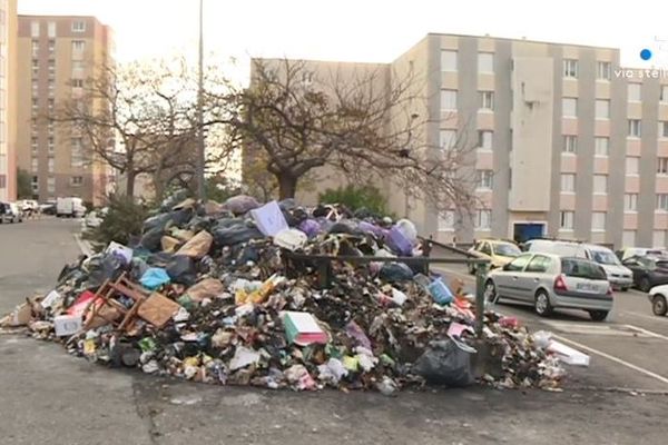 Selon le Syvadec, 70 % des contenus des poubelles corses pourraient être valorisés. 