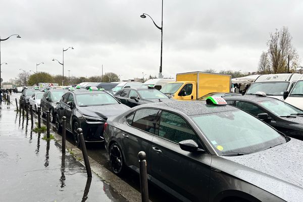 Plusieurs centaines de taxis ont participé à l'opération escargot ce lundi.