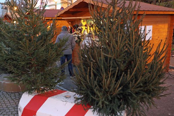 Illustration marché de Noël 