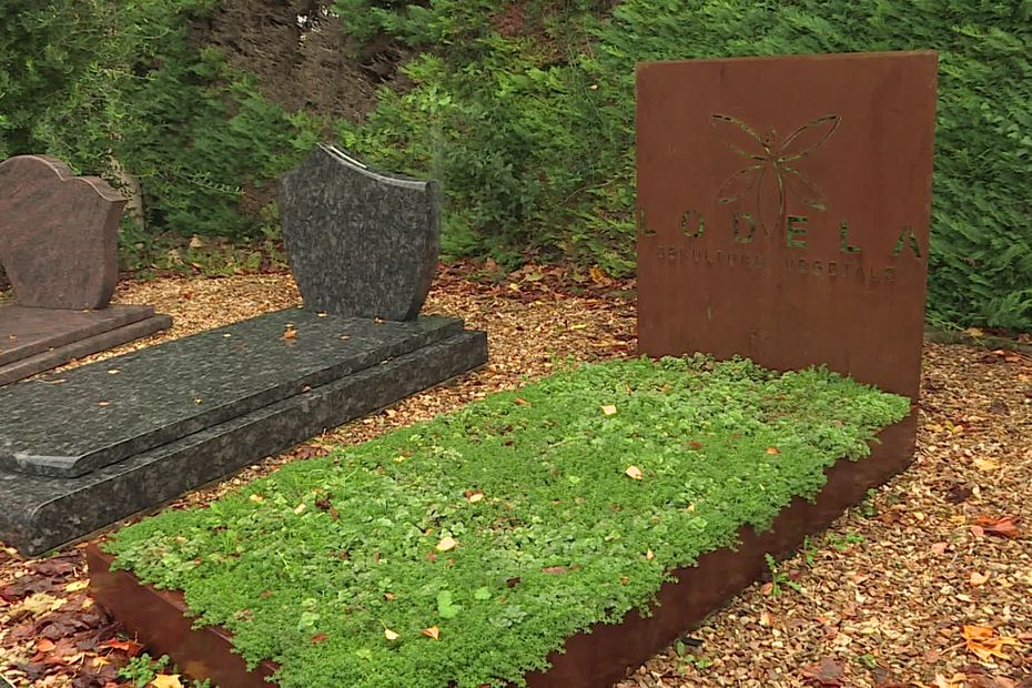 Revolutionizing Cemeteries: Introducing Vegetated Tombs with Steel Bins and Plant Beds