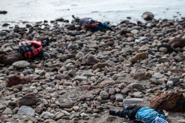 Des corps d'enfants échoués sur une plage de Turquie lors d'un naufrage de migrants le 30 janvier dernier