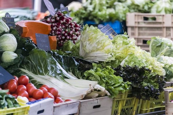 Fruits et légumes, mais aussi boissons, pains, produits de la mer et d’eau douce, viandes, produits laitiers… seront proposés sur la plate-forme produits.locaux.bzh.