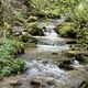 Le massif des Vosges est surnommé "le château d'eau" de la Lorraine