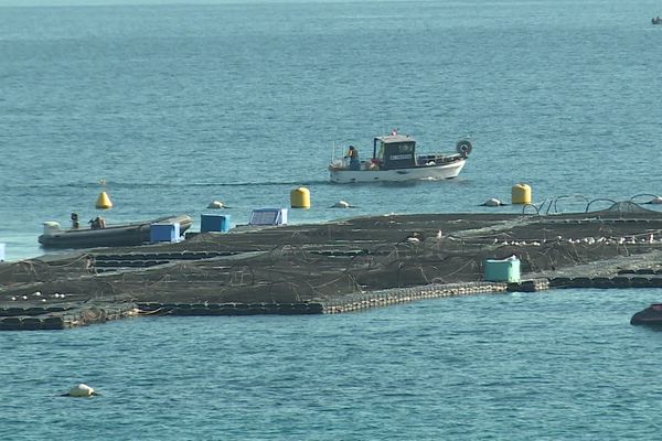 La ferme aquacole telle qu'elle existe à l'heure actuelle dans la baie de Golfe-Juan.