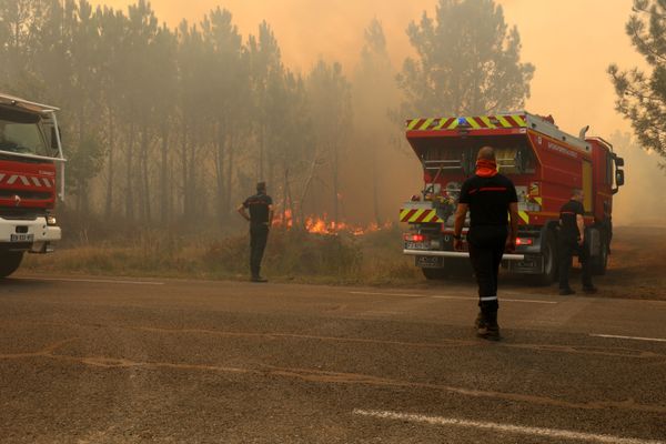 En Gironde, en 2100, le nombre de jours avec risque significatif de feu de végétation pourrait être multiplié par cinq.