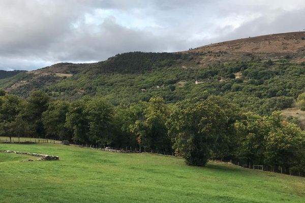 Les paysages de la haute Ardèche.